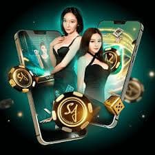 vibet sports betting results and casino highlights displayed on screen